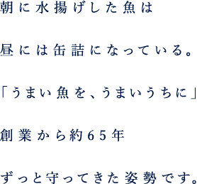 朝に水揚げした魚は昼には缶詰になっている。「うまい魚を、うまいうちに」創業から約65年ずっと守ってきた姿勢です。