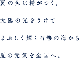 夏の魚は精がつく。太陽の光を受けてまぶしく輝く石巻の海から夏の元気を全国へ。