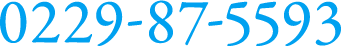 0229-87-5593