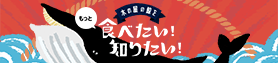 木の屋の鯨をもっと食べたい！知りたい！